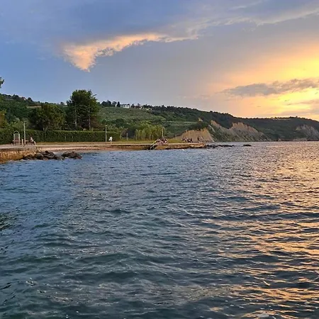 Laguna 19 * إيزولا